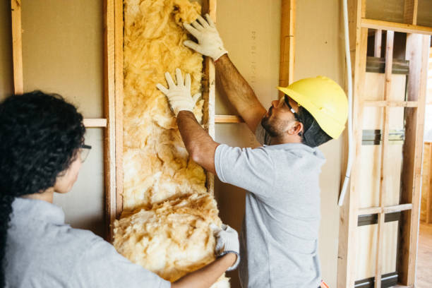 Best Insulation Inspection Services  in Buckeye, AZ